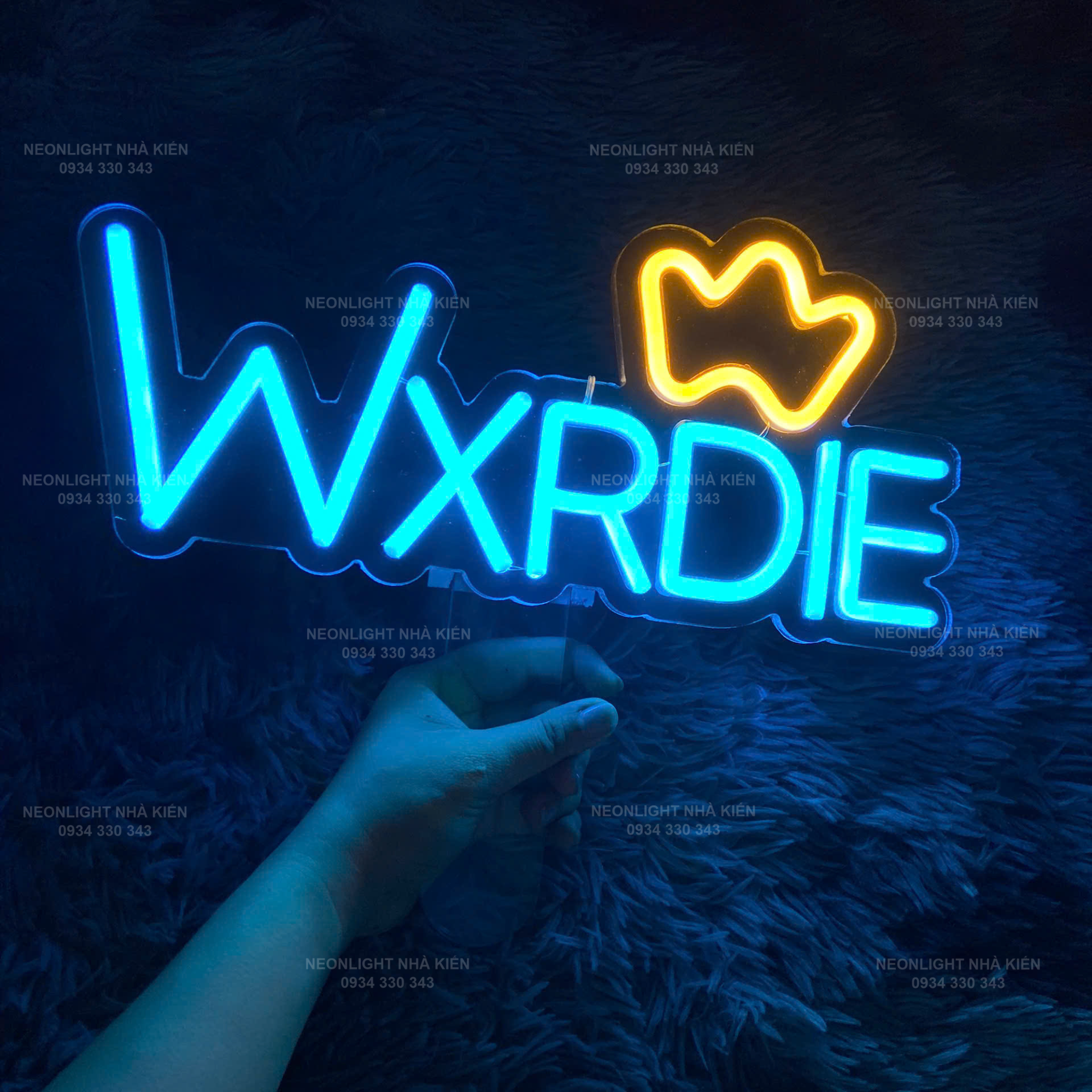 Đèn Led Neon cầm tay WXRDIE