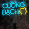 Đèn Led Neon cầm tay - Cường Bạch