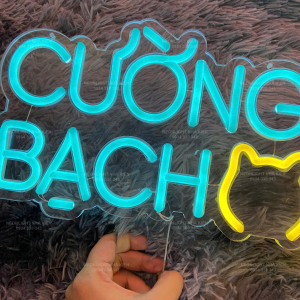 Đèn Led Neon cầm tay - Cường Bạch