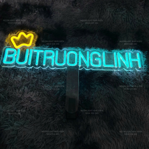 Đèn Led Neon cầm tay idol Buitruonglinh