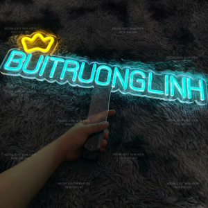 Đèn Led Neon cầm tay idol Buitruonglinh