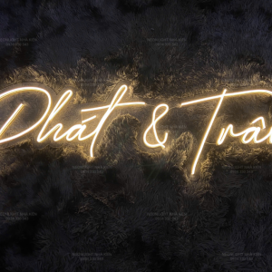 Đèn Led Neon tên dâu rể - Phát & Trâm
