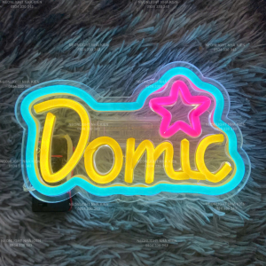 Đèn Led Neon kẹp điện thoại tên idol - DOMIC